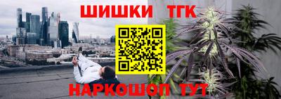 молекула духа Заводоуковск